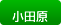 ���c���X