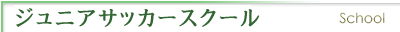 �W���j�A�T�b�J�[�X�N�[��